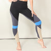 Galapagos Color-block Yoga Leggings in moisture-wicking Zeugma® organic cotton